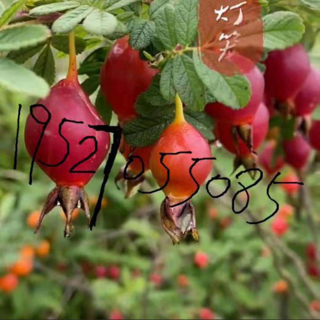 康祥