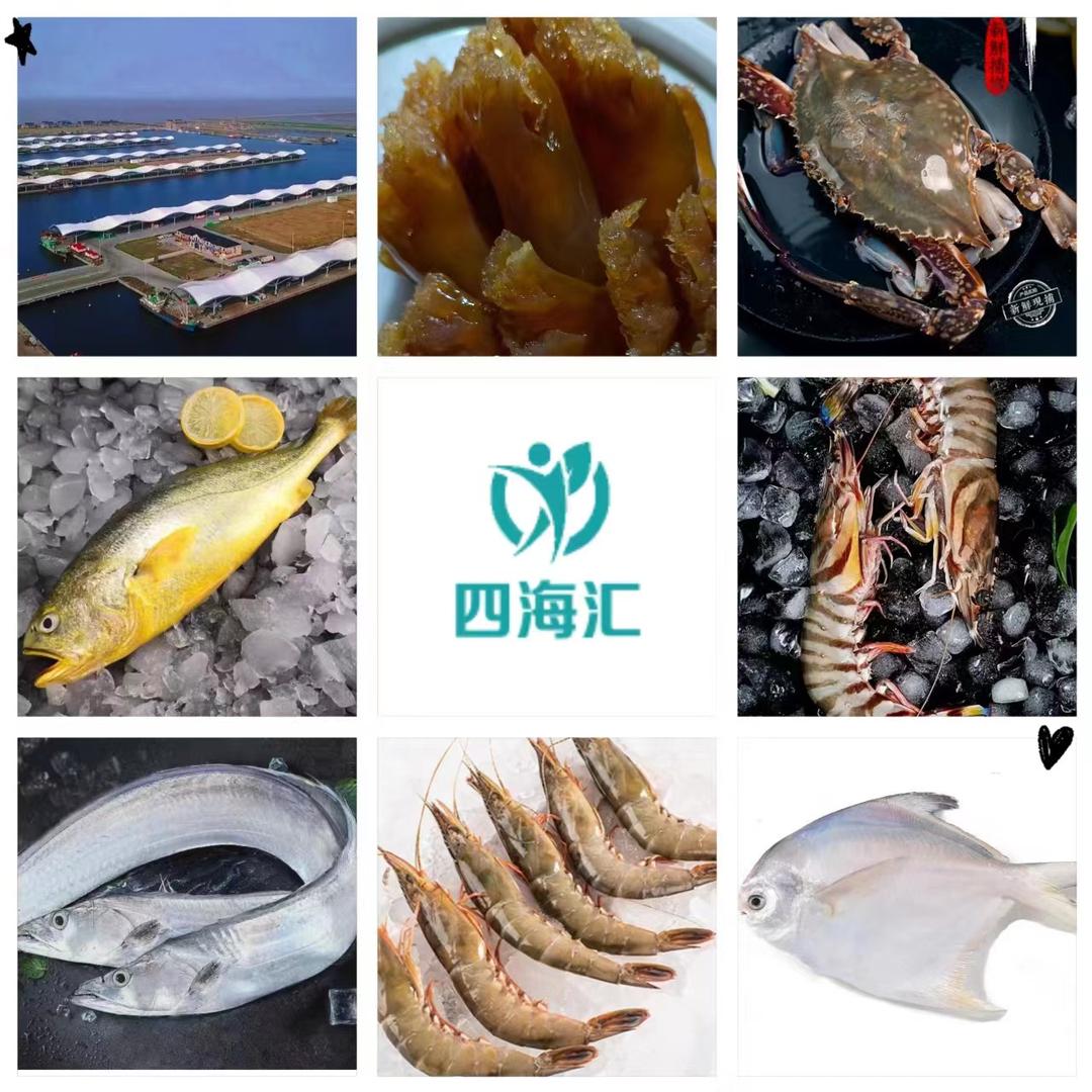 四海汇