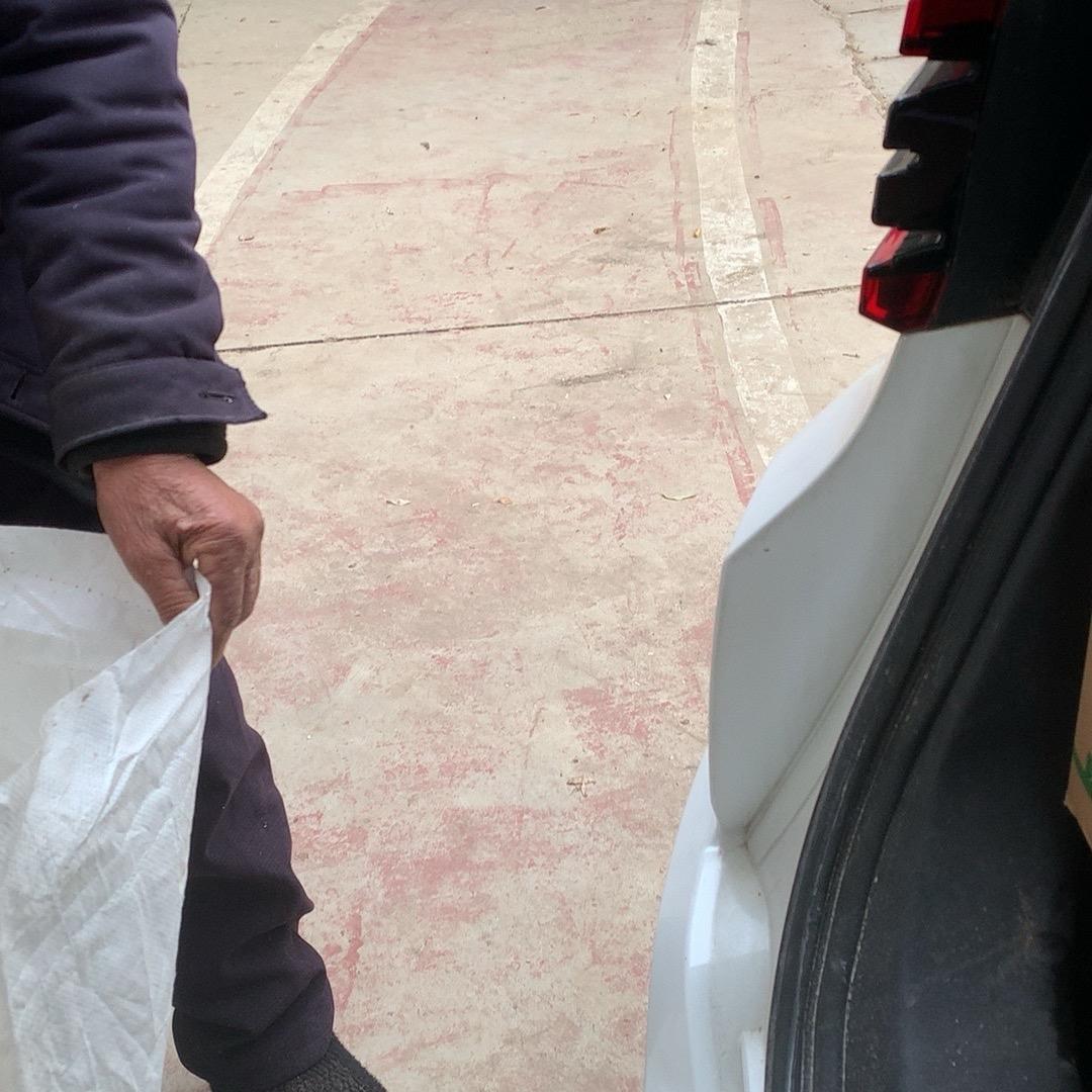 大力的