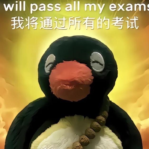 zizi🐼