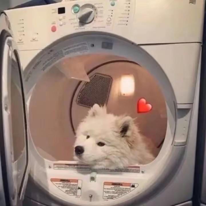 大号泡泡糖