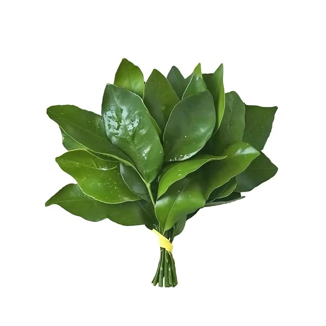 睡醒就原谅全世界