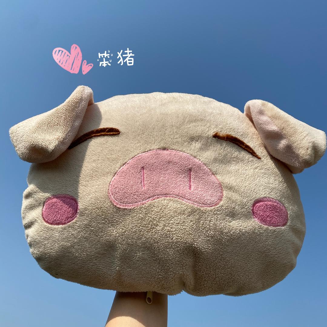 🐷笨猪🐷