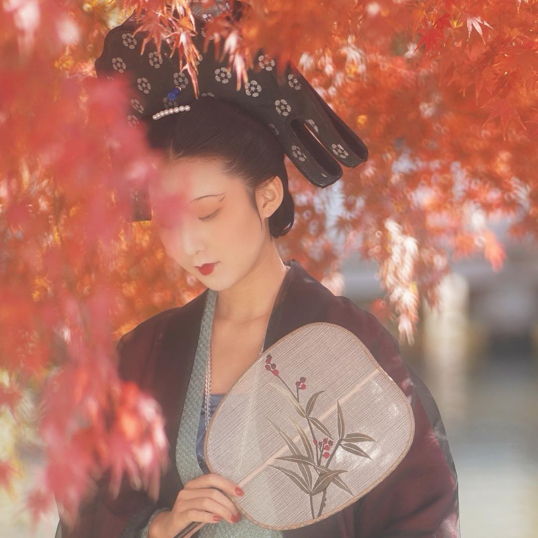 秦卿卿