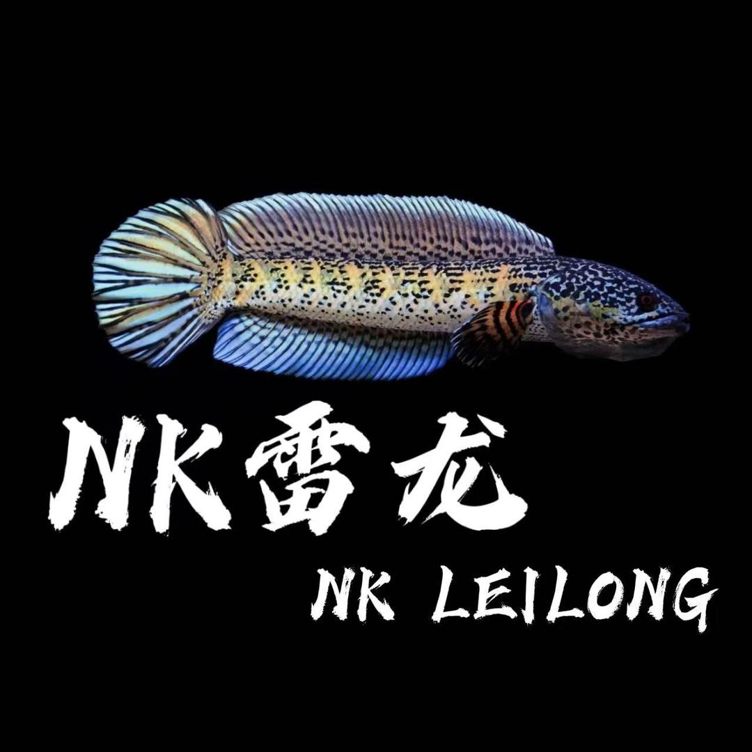 NK雷龙（科技饲料）