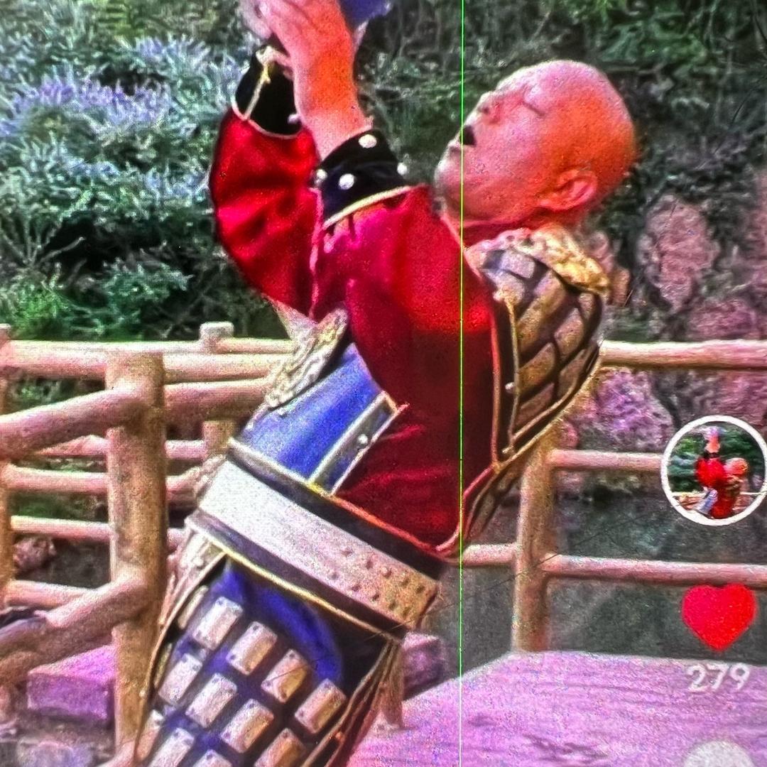 少林秃鹰