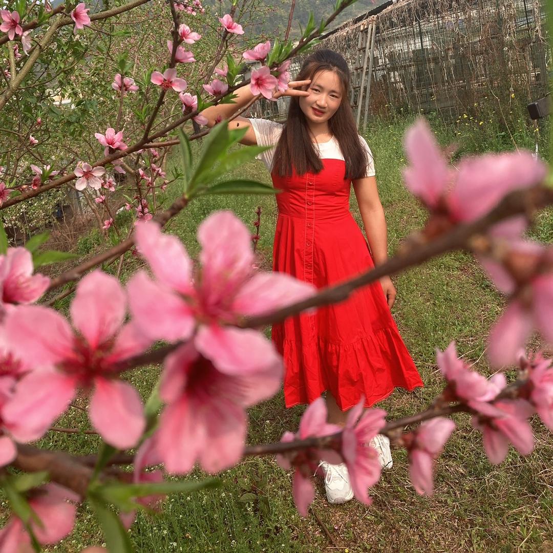 孔雀妹