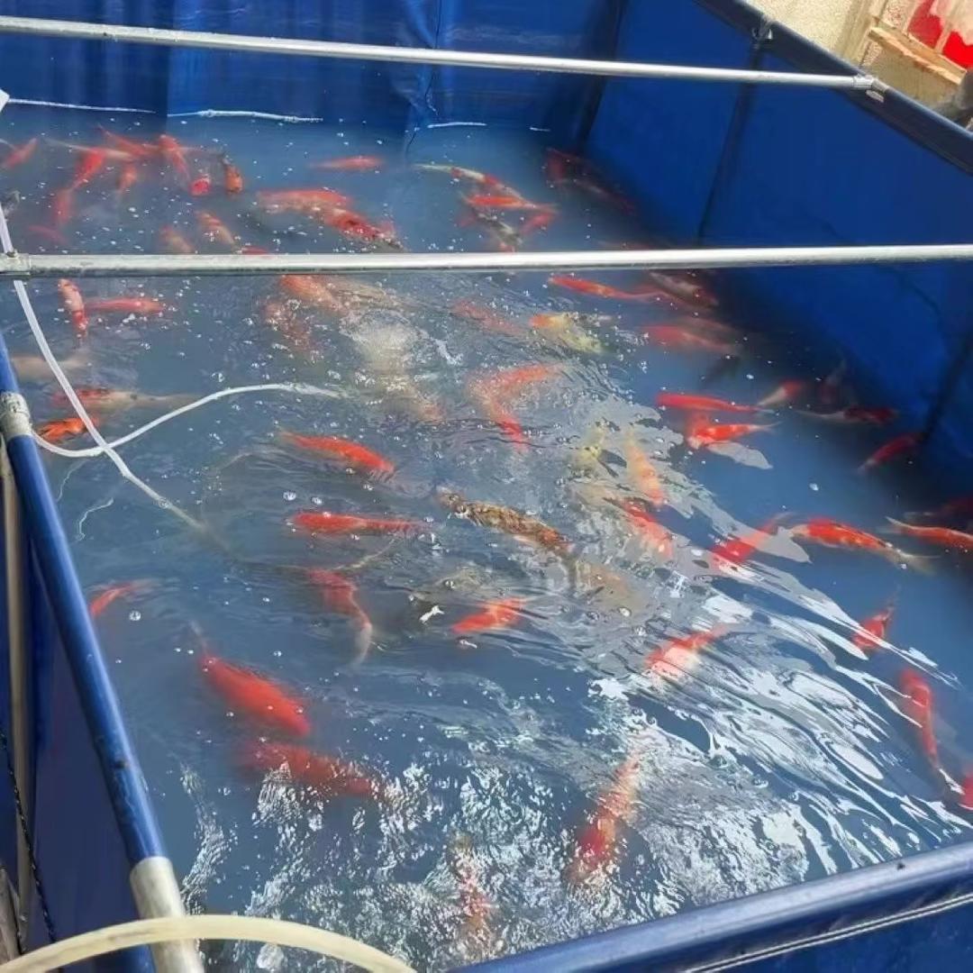 非凡帆布鱼池加工厂