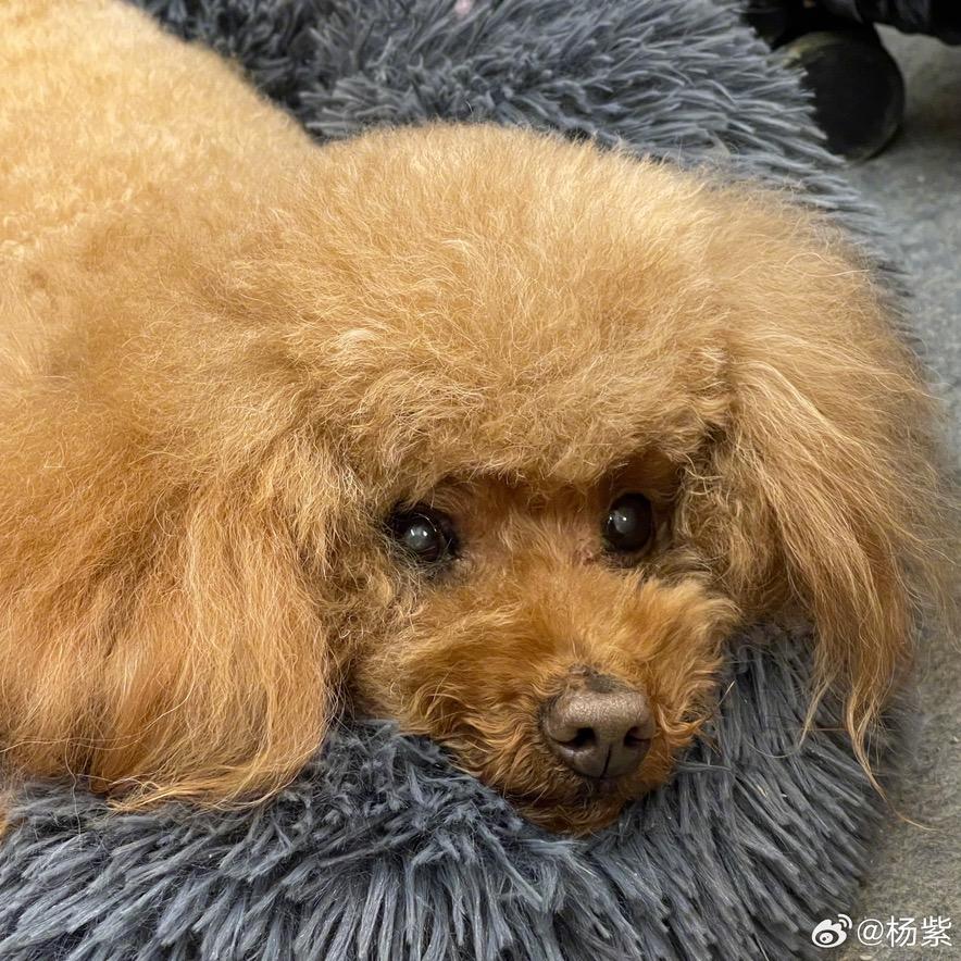 路过全世界只为你停下