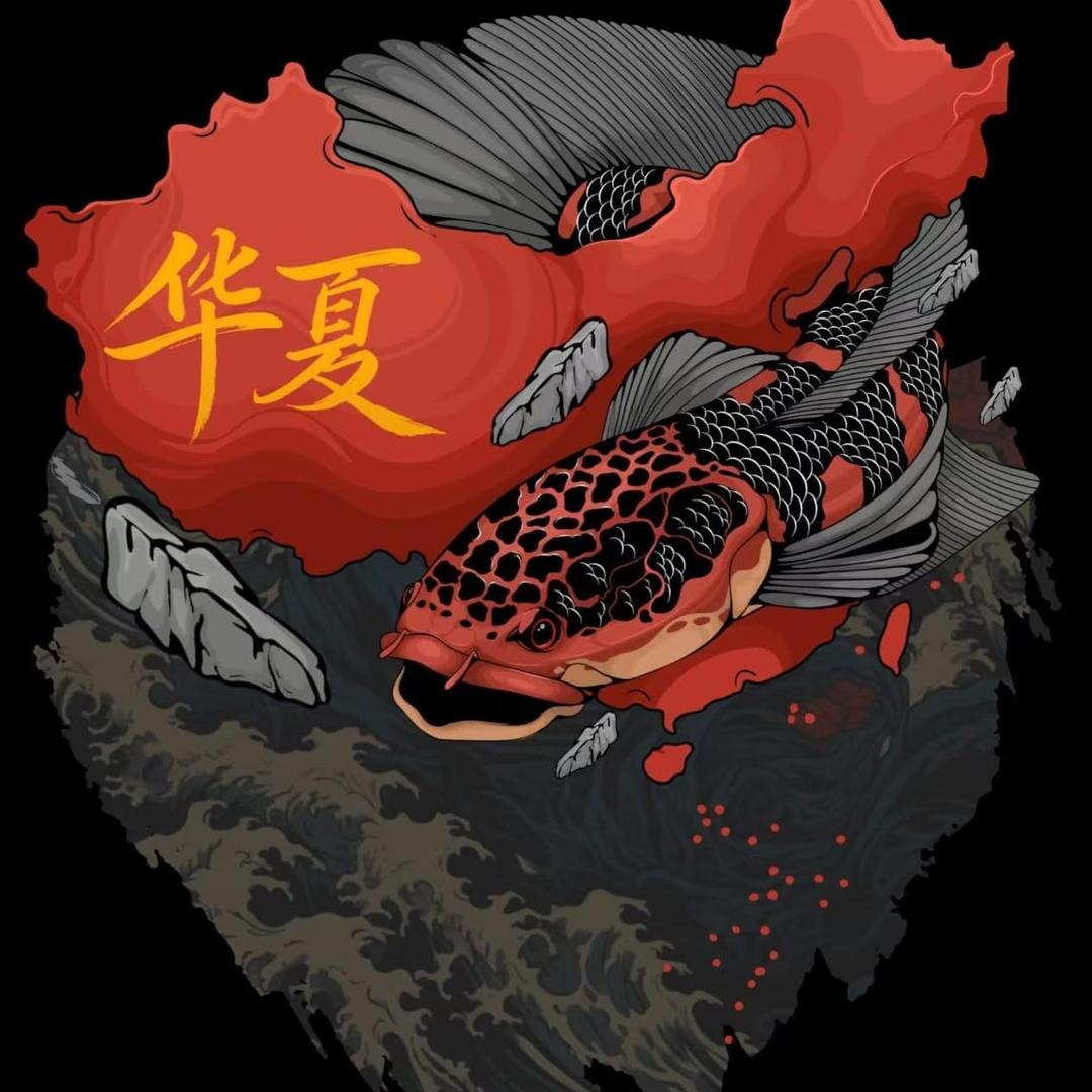 合肥市蜀山区南镜观赏鱼工作室