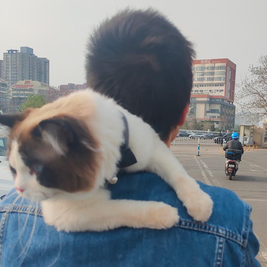 公主府第一侍卫