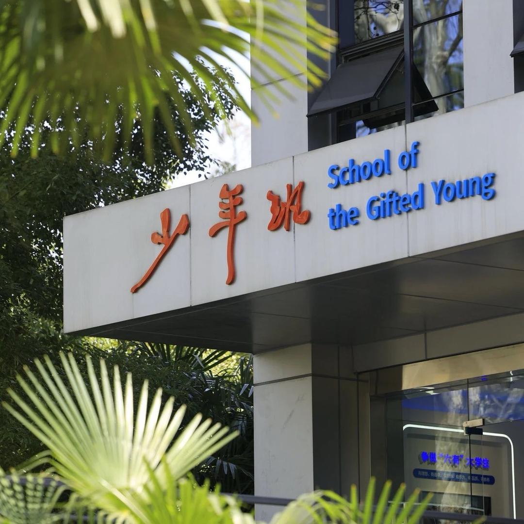 花觞望（感谢大家关注我）