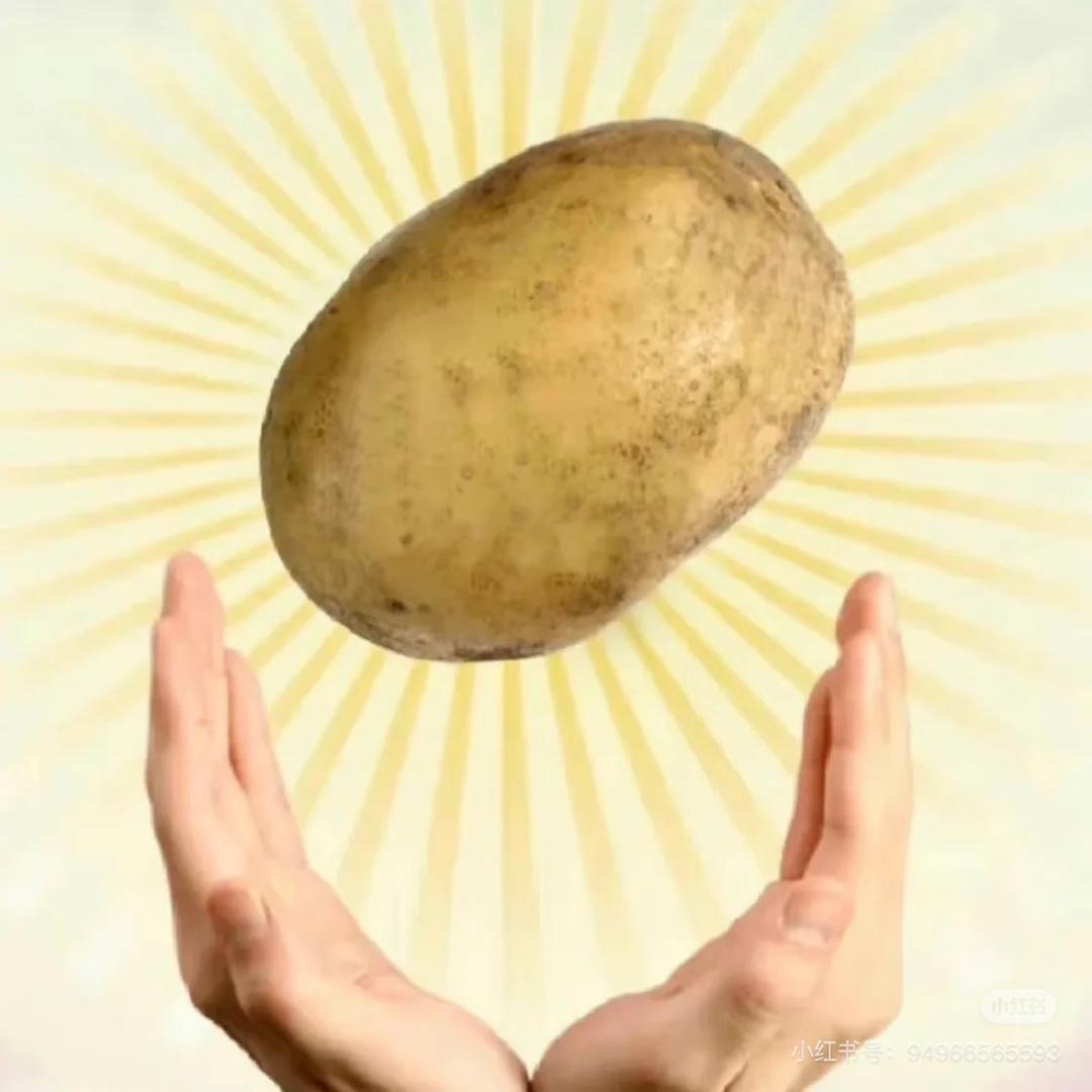 土豆cos马铃薯