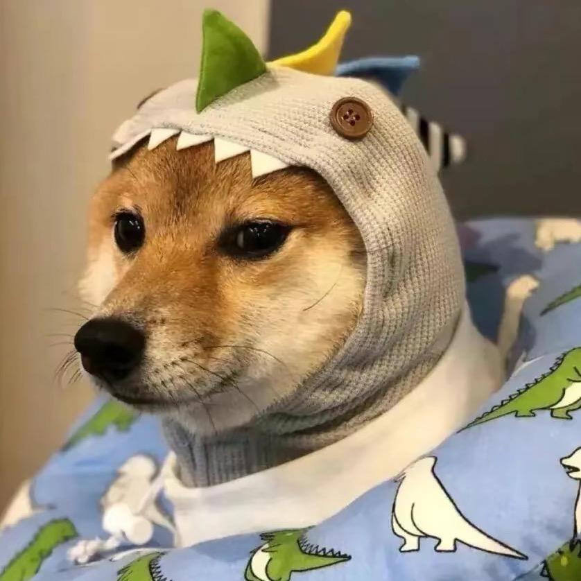 脑子不好别惹我