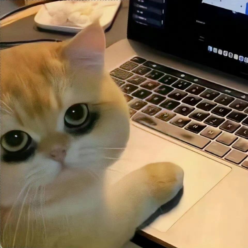 双层猪柳蛋