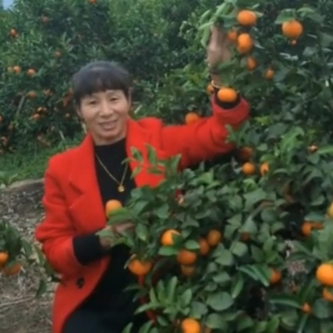 农家人～柴火灶手工麦芽糖🧚🏻‍♀️