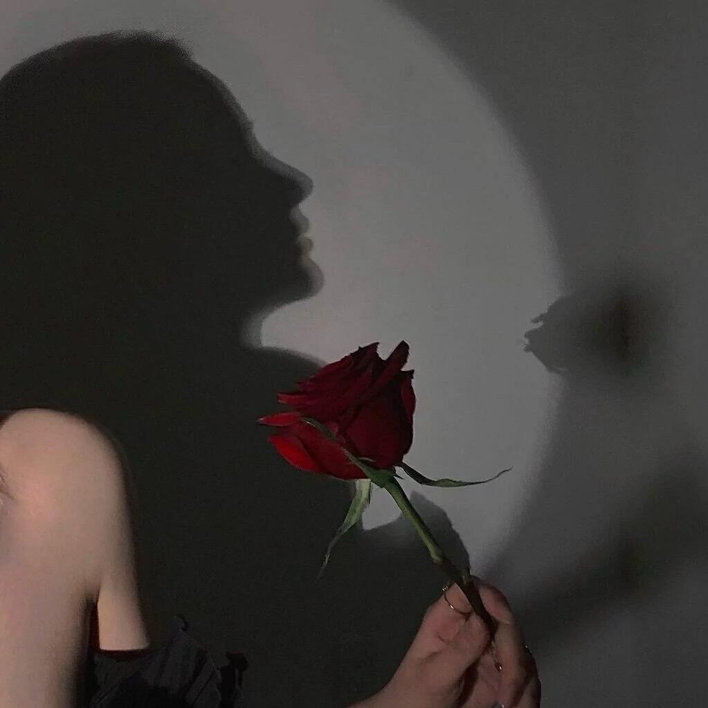 L໊ₒ泡:ᨶ႒ᩚ沫ᵥ̶ₑ̶ᩚ