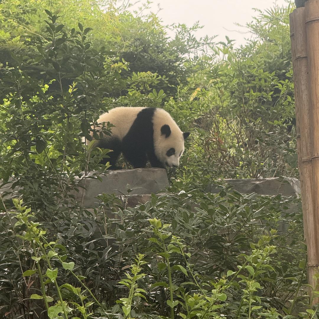 梦羽曼家纺
