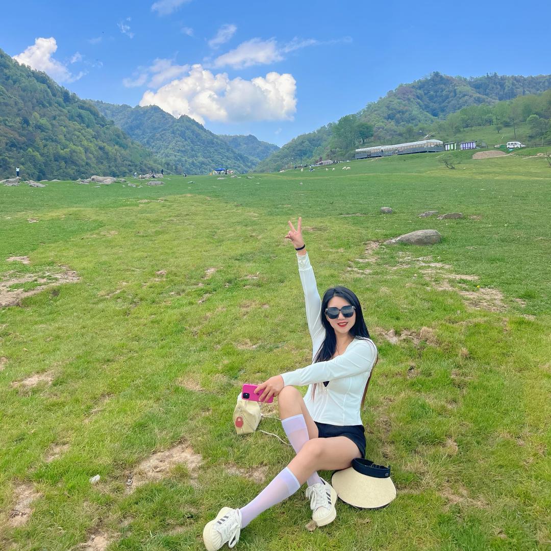 杨            柳🧚♀️
