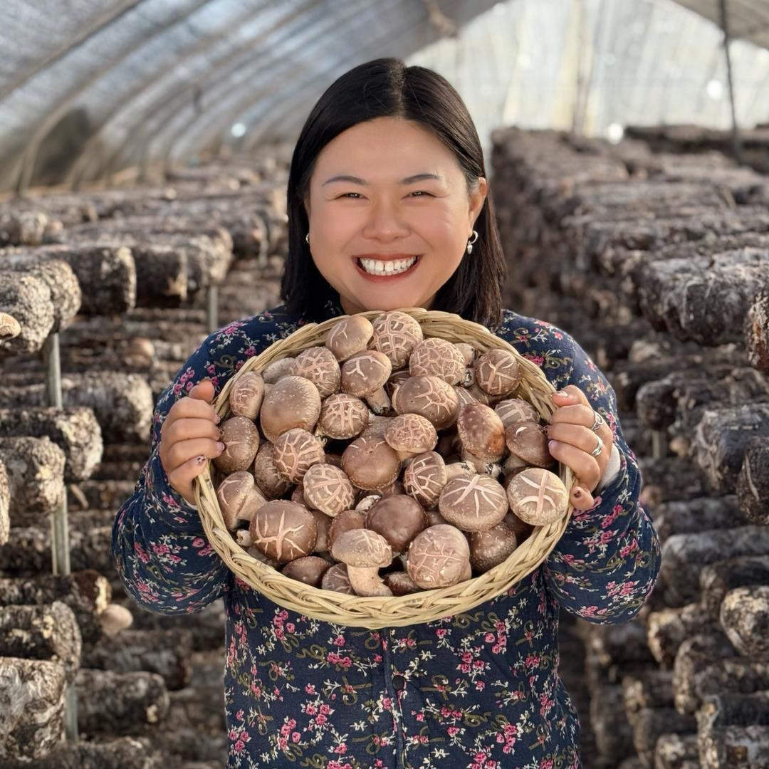菇小妹