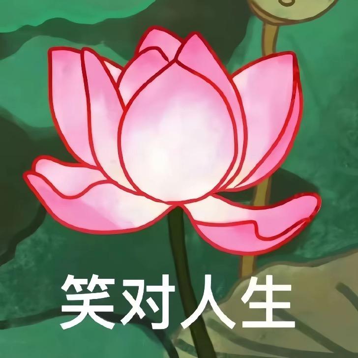 海阔天空🎶🎶🎶