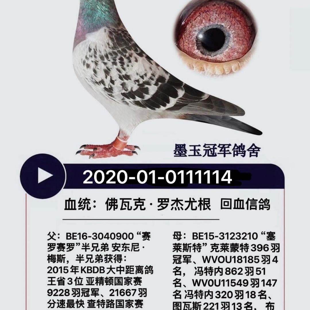 锦庆可