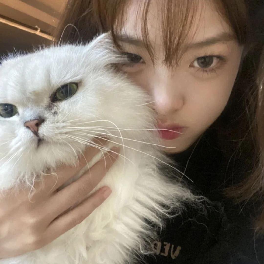 猫宁