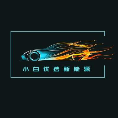 郑州小白优选新能源-隆掣