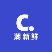 潮新鲜车饰