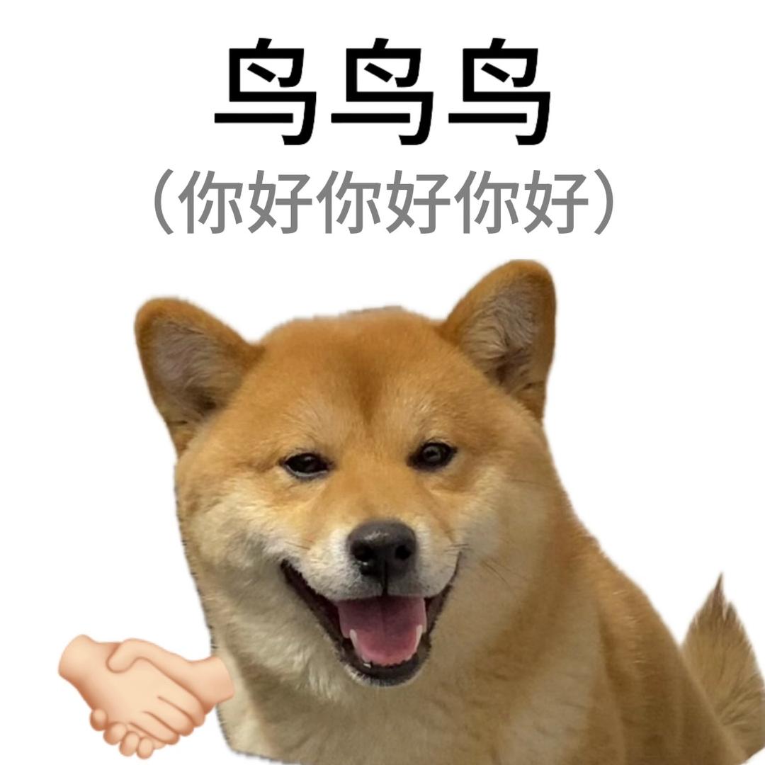 装0和男神砰砰砰🦅