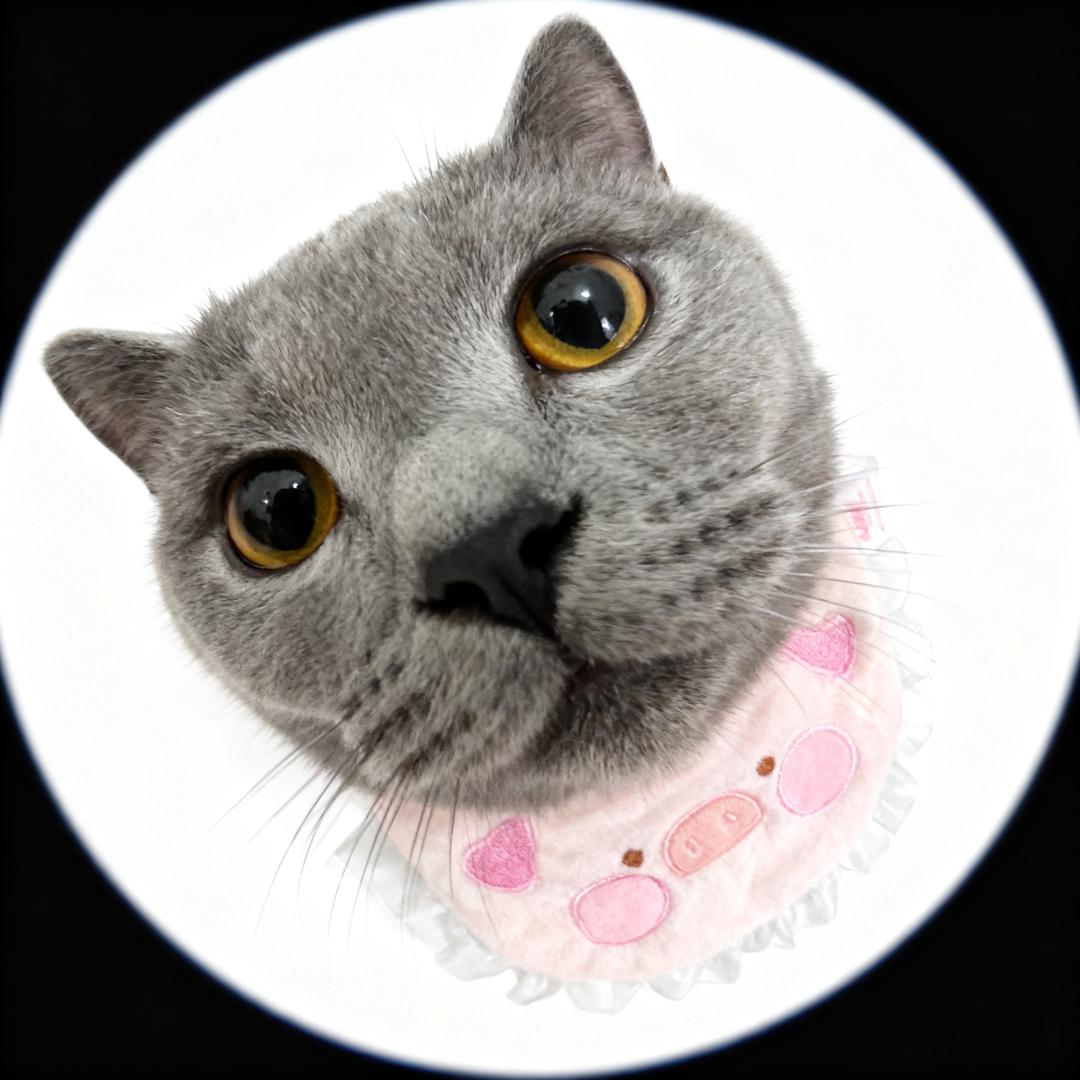 瑶妹爱吃火鸡面