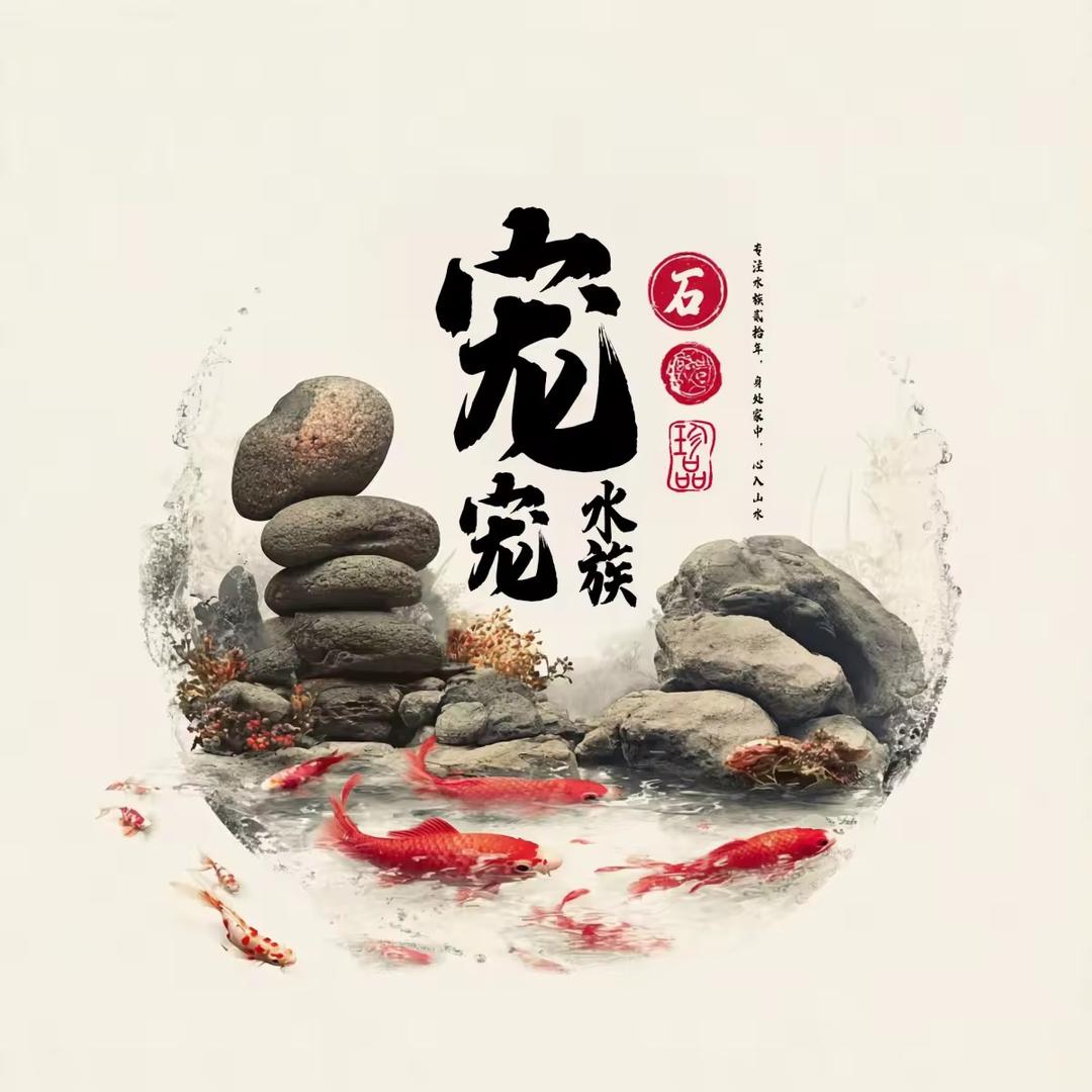 宠宠生态水族馆