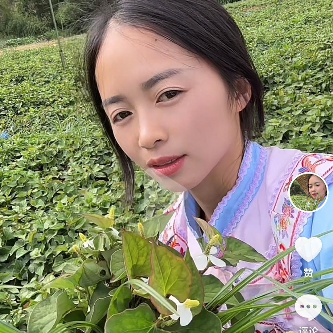 小凤在农村种地