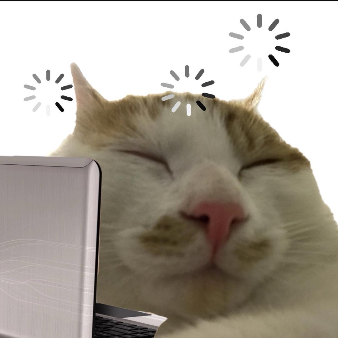 豆豆妈