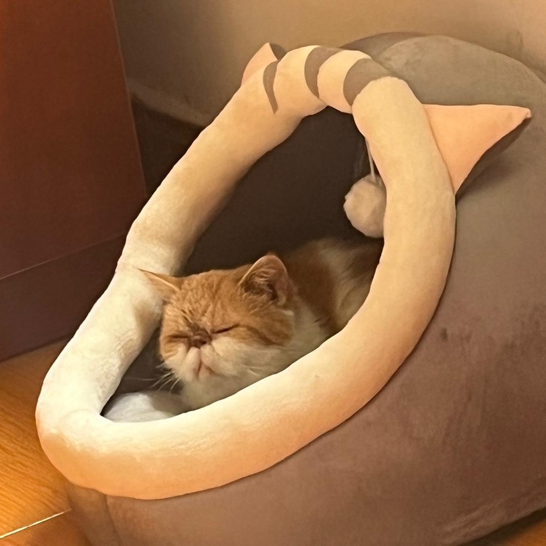 唐老鸭不性唐