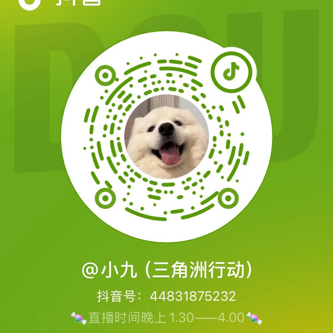 小九