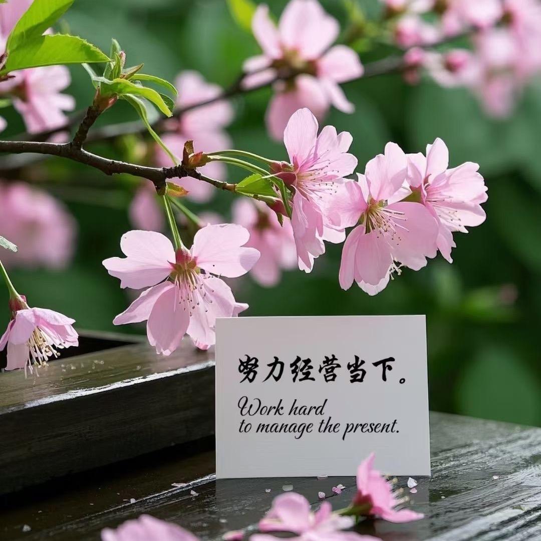 努力经营当下