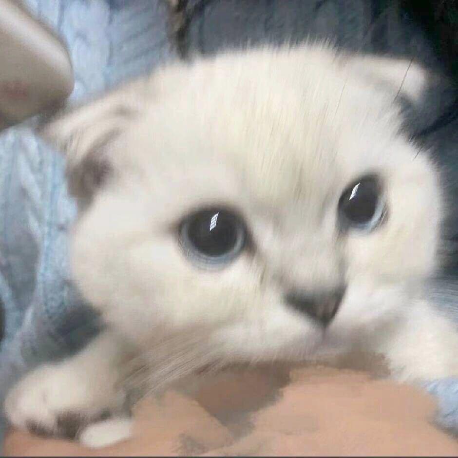冷