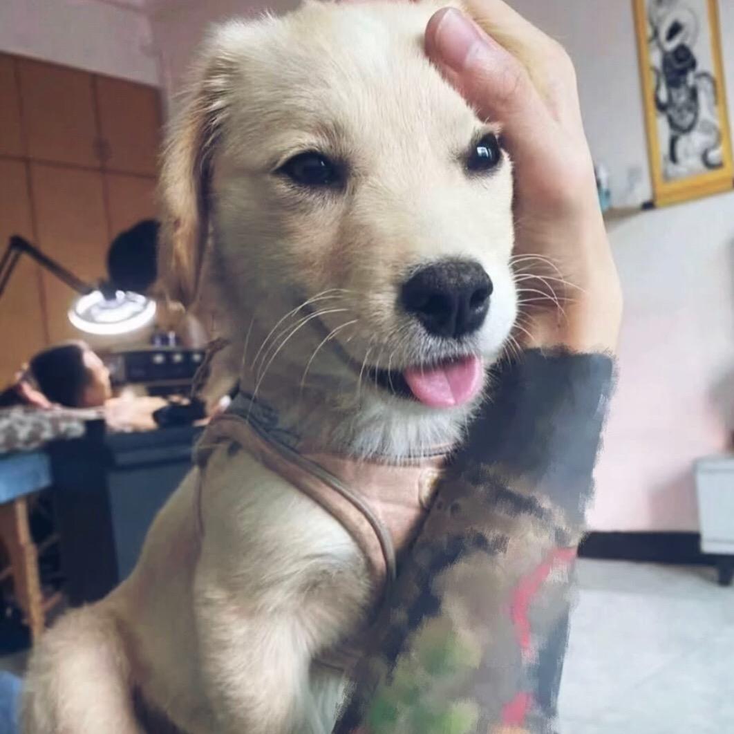 烁🎈
