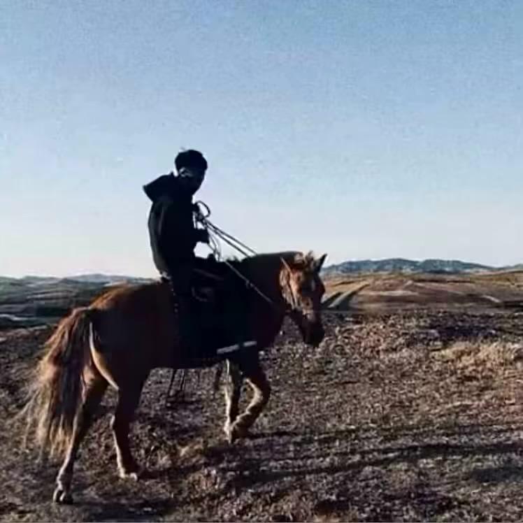 ㅤㅤㅤㅤㅤㅤㅤㅤㅤ‍‍‍‍ 喜歡