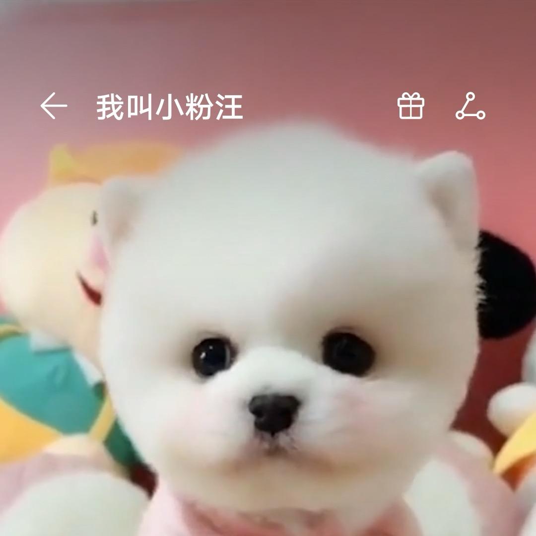 春雨风来