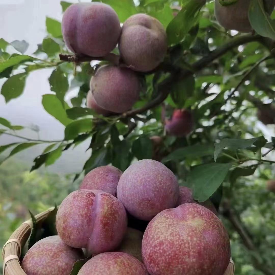 郑州文亮泽商贸有限公司