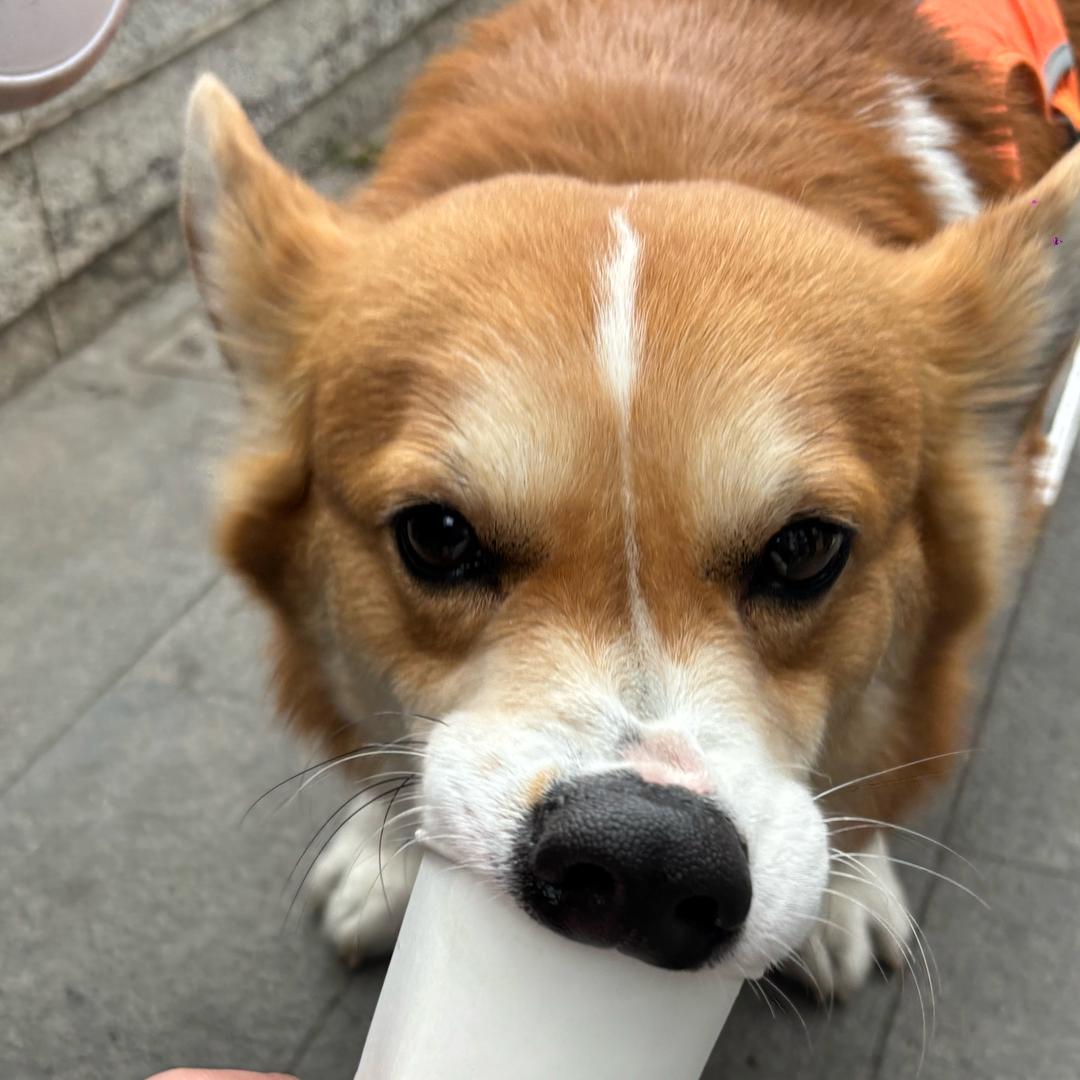 出逃指南