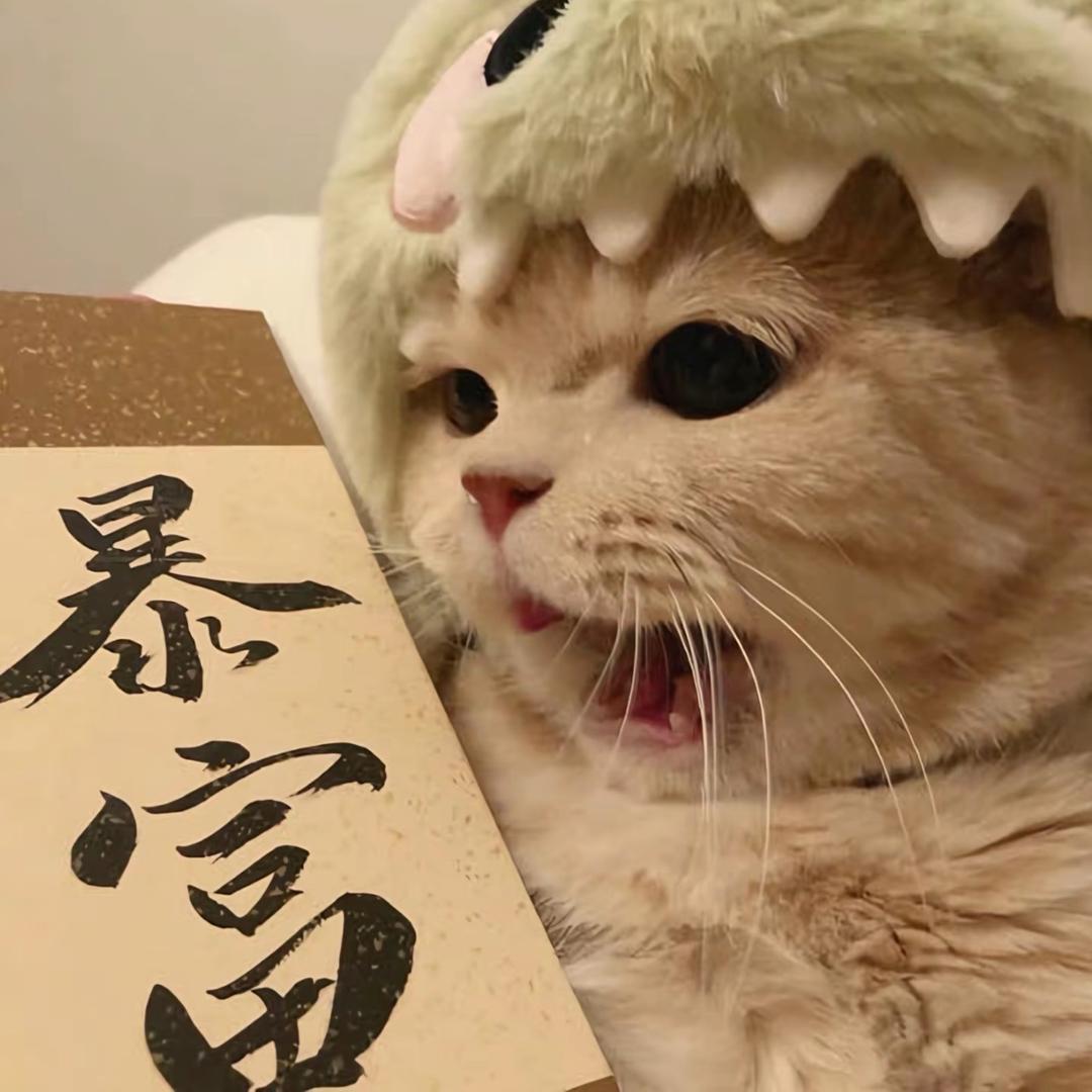 福多多多多