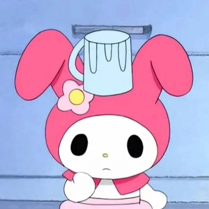 77🐰