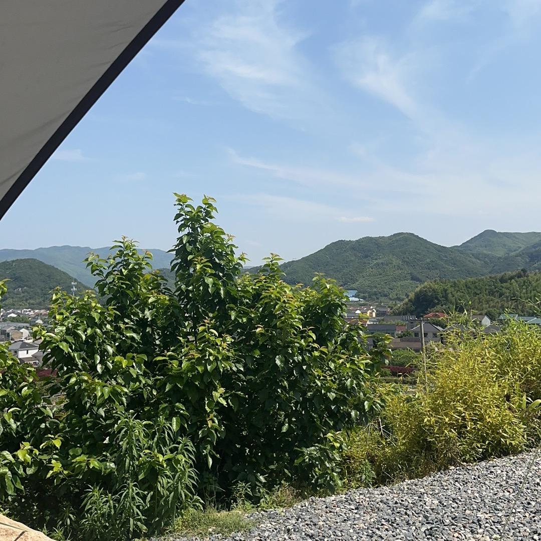 股市浪子Allen 华