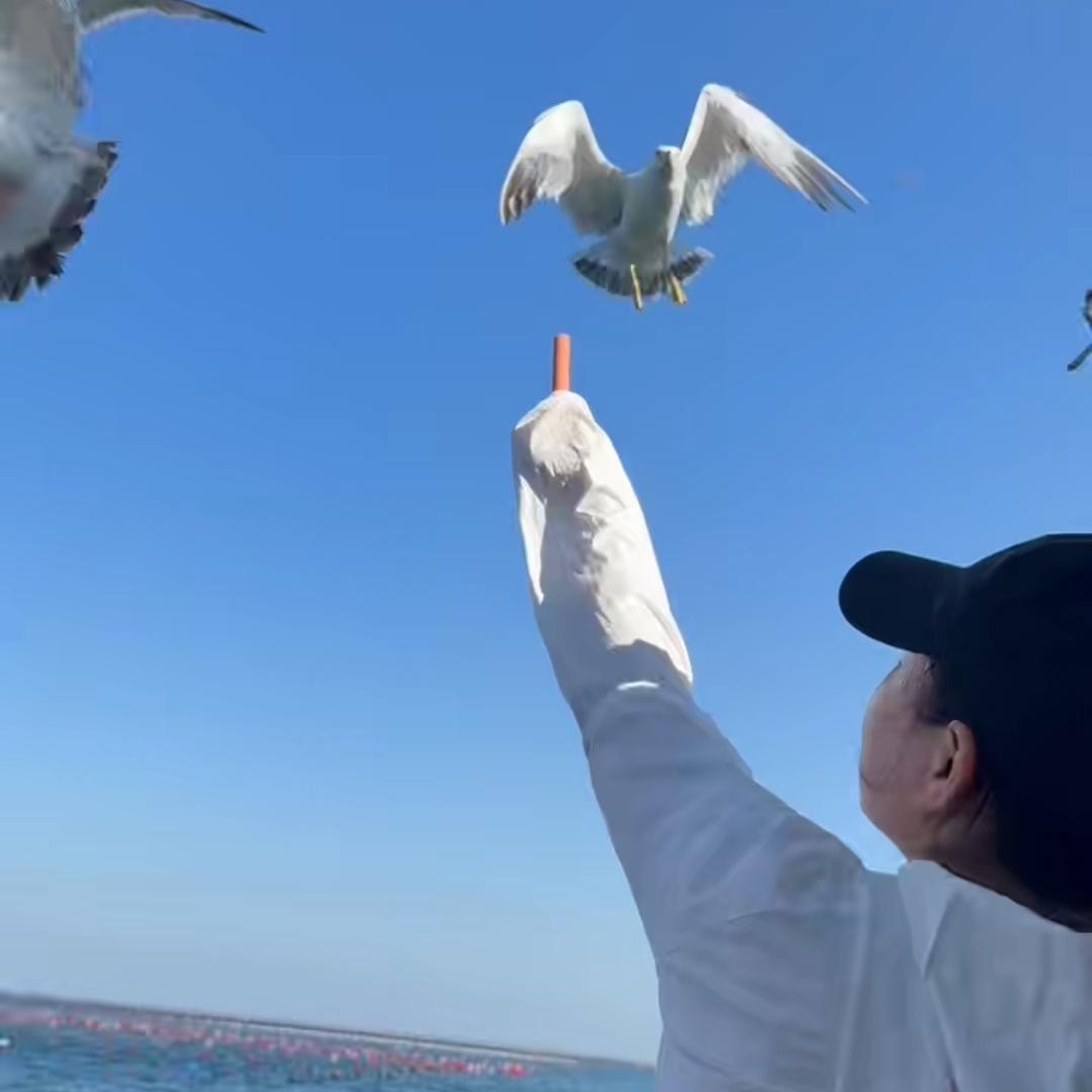 骑着蜗牛🐌追流星