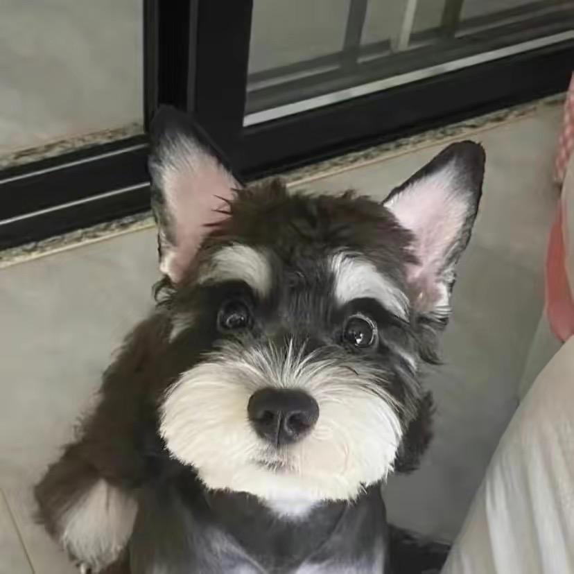 桐庐街上讨饭吃