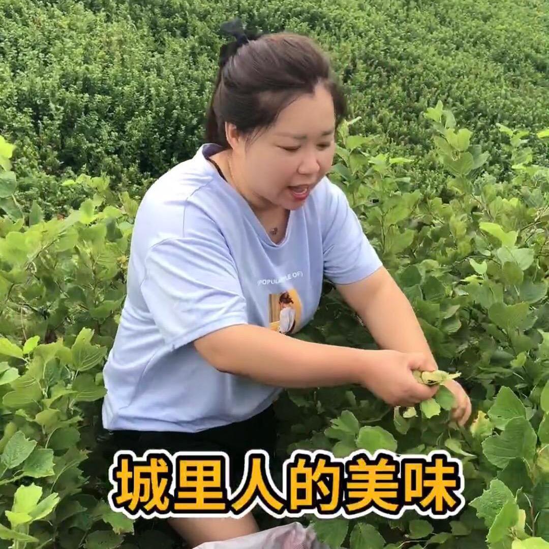 开原市丹姐榛子松子