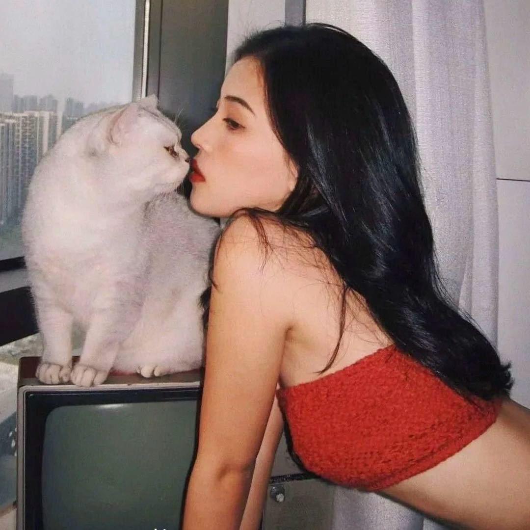 白哥